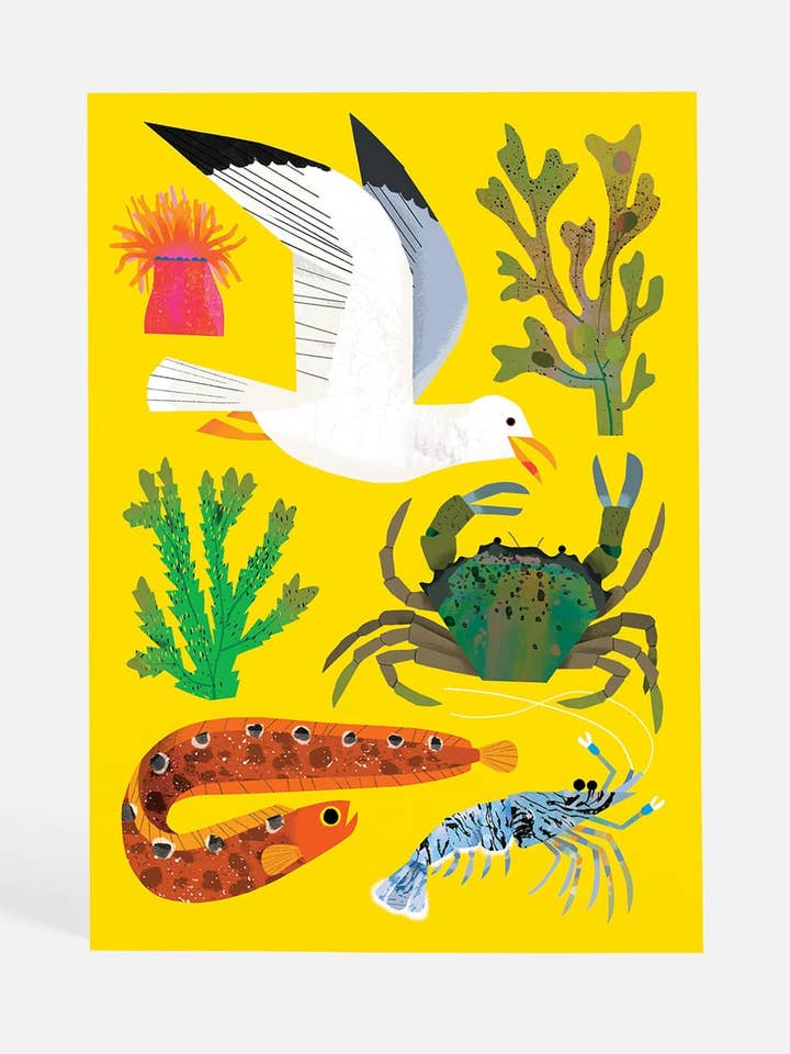 Sand and Shore | Postcard for wholesale by Sunny Beast