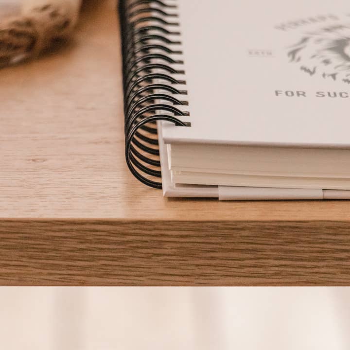 The Anastasia Co - Wholesale Journal/Diary - For Such a Time as This Esther Lion Hardcover Journal3