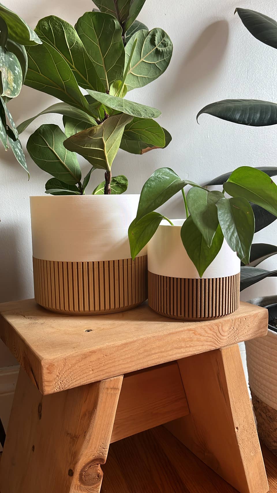 Prairie City Printing Co. – wholesale Kruka – Tvåfärgad trä- och färgkruka4