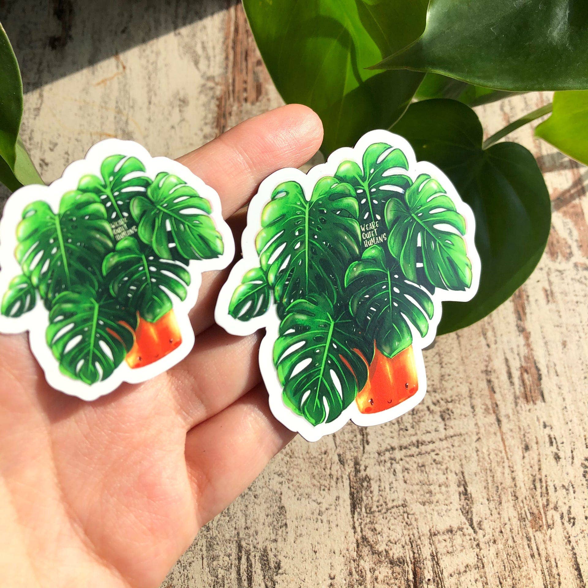 plantyintroverts - Wholesale Magnet - Magnet - Monstera Deliciosa, Plantlover, Plants, Plantlady3