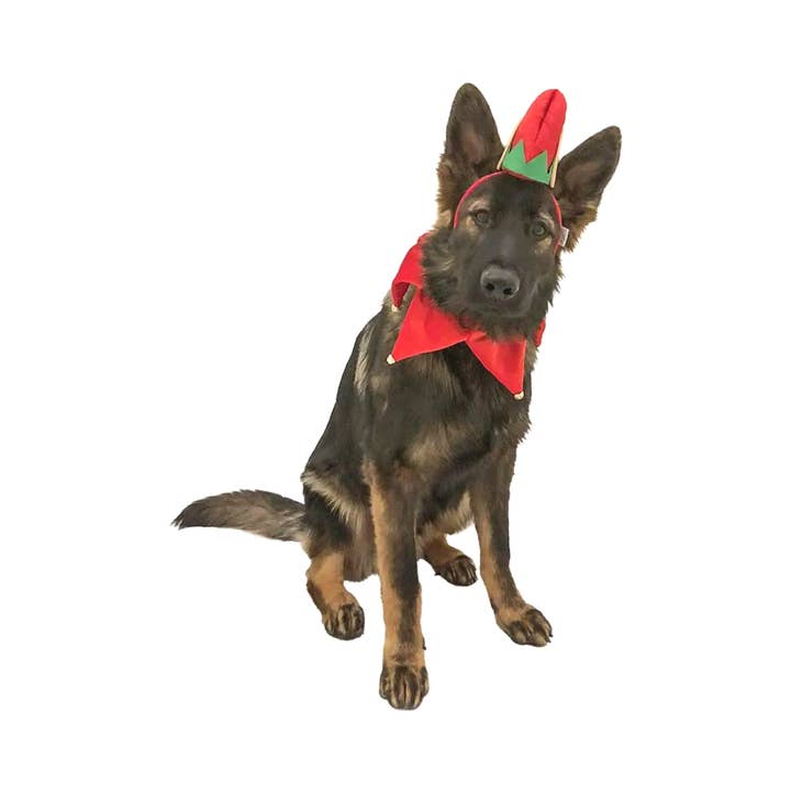 Midlee Designs - Vente Déguisement – chien - Midlee Elfe Chapeau pour chien avec cloche de cou Costume2