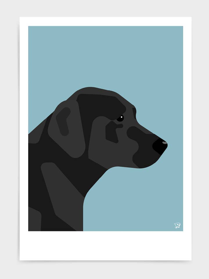 Sort labrador for engroshandel hos Rocket Jack