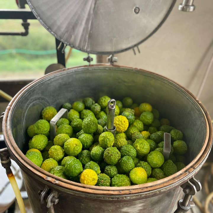 Essences Naturelles Corses - Vente Huile essentielle - Combava corse biodynamie - huile essentielle - Aromathérapie7