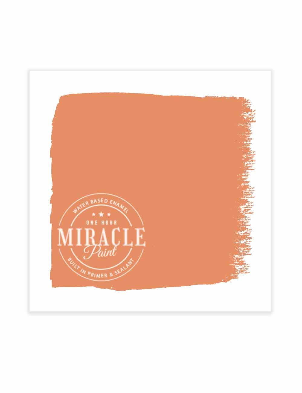 Amy Howard at Home - Wholesale Paint Set - Miracle Paint (32 oz.)76