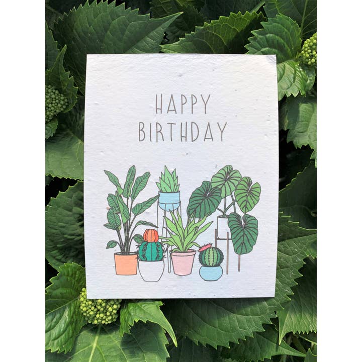Seeds of Paper – Großhandel Geburtstagskarten – Pflanzbare Karte: Happy Birthday Pflanze Lady