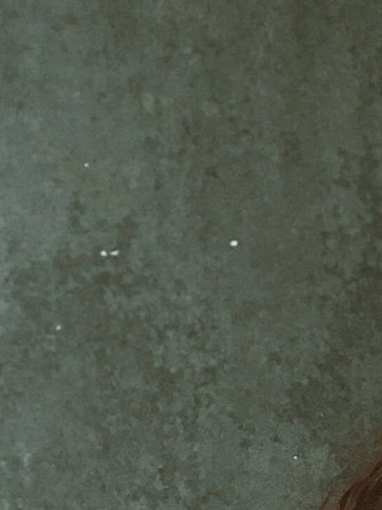 Gestreiftes T-Shirt für den Großhandel von True Threads