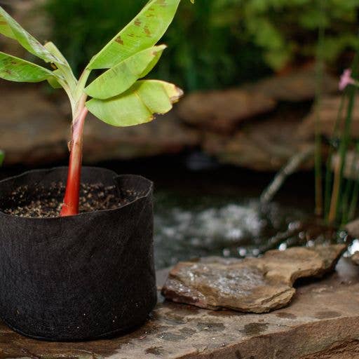 Smart Pots - Wholesale Plant Pot - Pond Pots 10 Gallon10