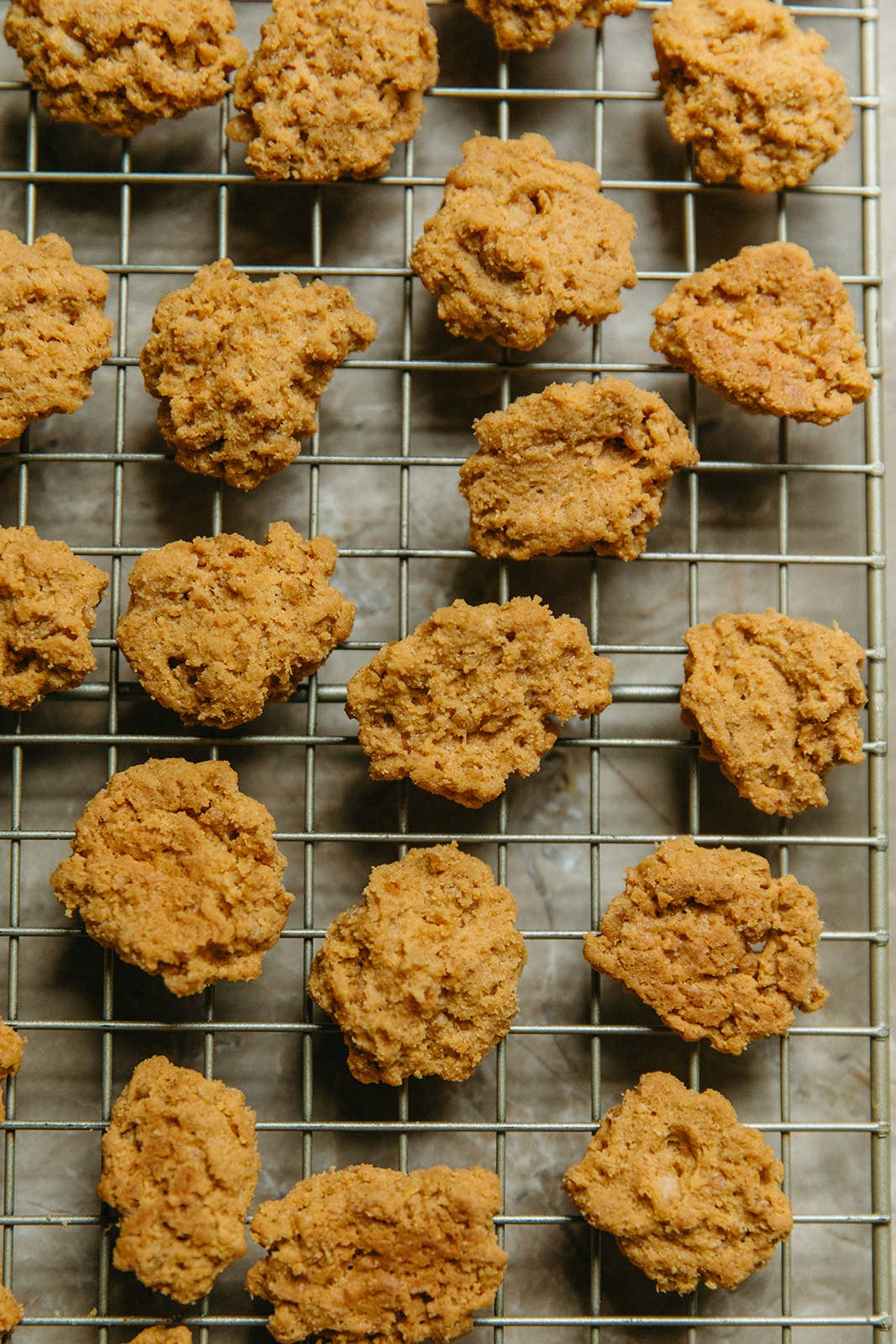 Piedmont Pennies - Wholesale Crackers - Samples (Jalapeno Pimento Cheese) - 15 oz 2