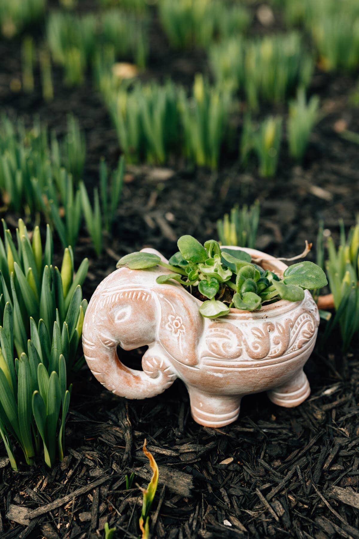 Ten Thousand Villages - Wholesale Plant Pot - Elephant Planter1