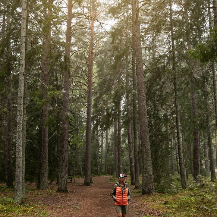 Gawell Förlag - Wholesale Nature & Outdoors Book - Hike Stockholm- 15 selected hikes around Stockholm9