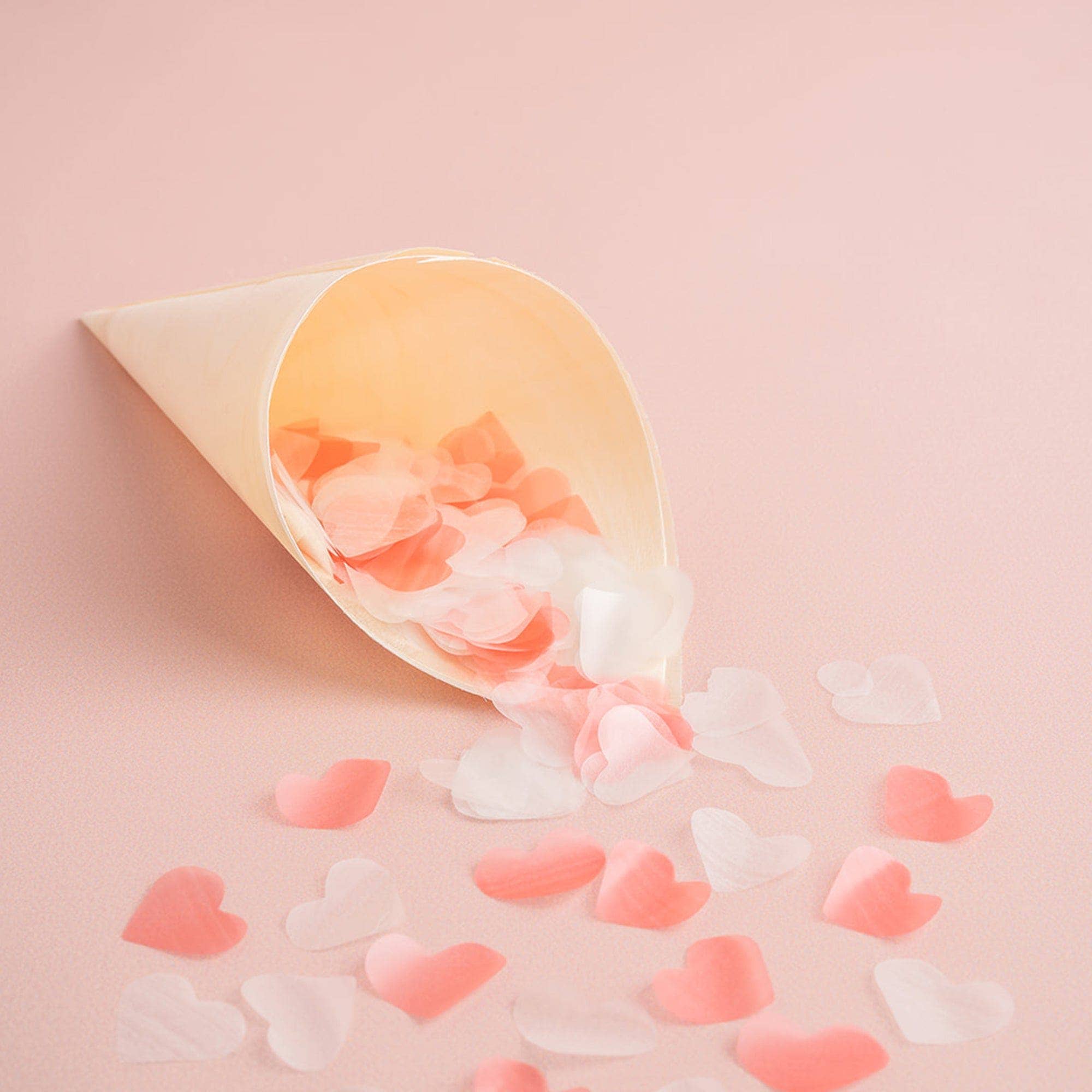 The Whole Bride - Wholesale Confetti - Biodegradable Confetti - Heart (Bag Only)7