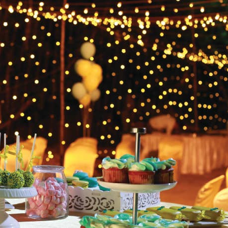 Perfect Holiday – Luzes de corda por atacado – Luzes de cortina LED 48L 60CM com PDQ, branco quente3