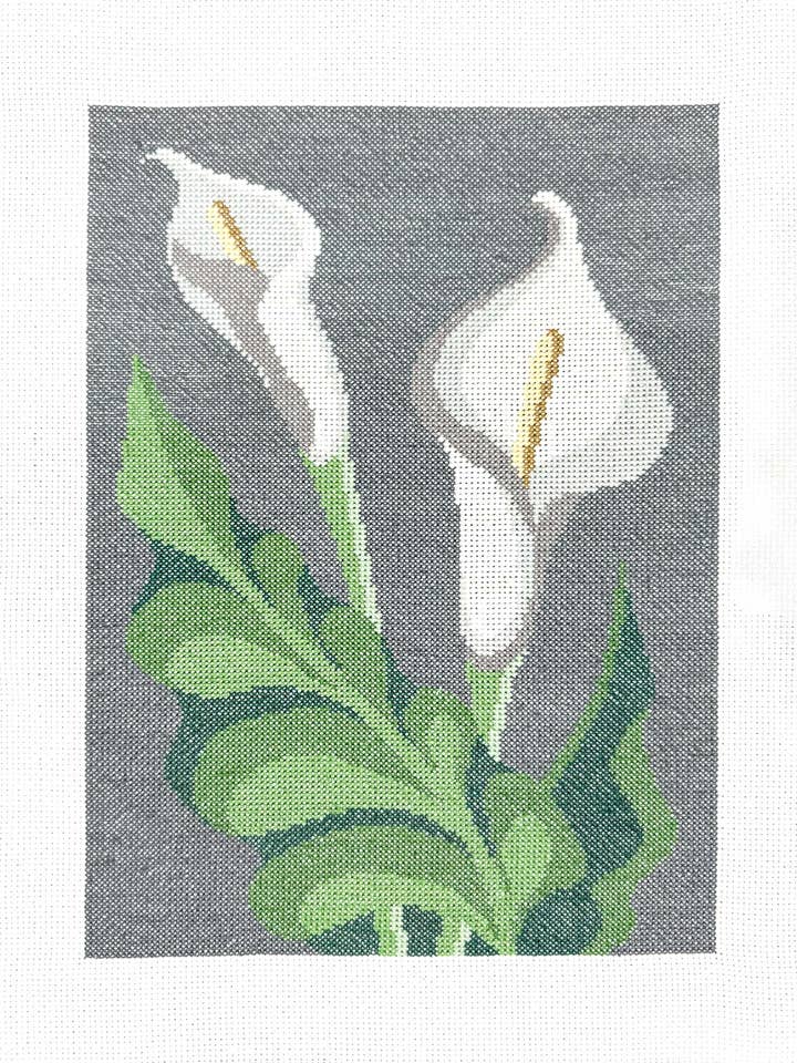Calla-Lilien-Blumen für den Großhandel von Mão Lusitana