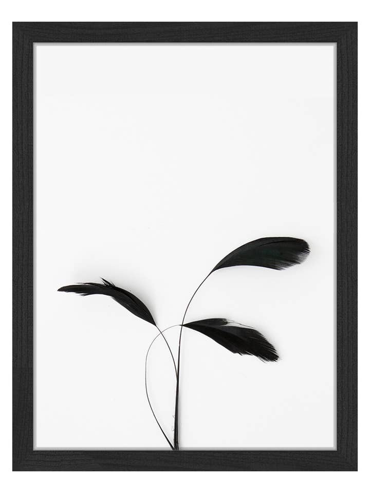 Image de plumes. Impression murale avec cadre. pour la vente par Any Image