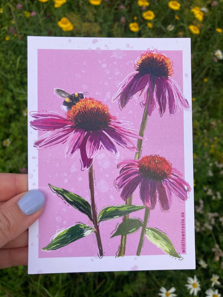 Postcard A6 # 0001 for wholesale by Wildflower Oslo