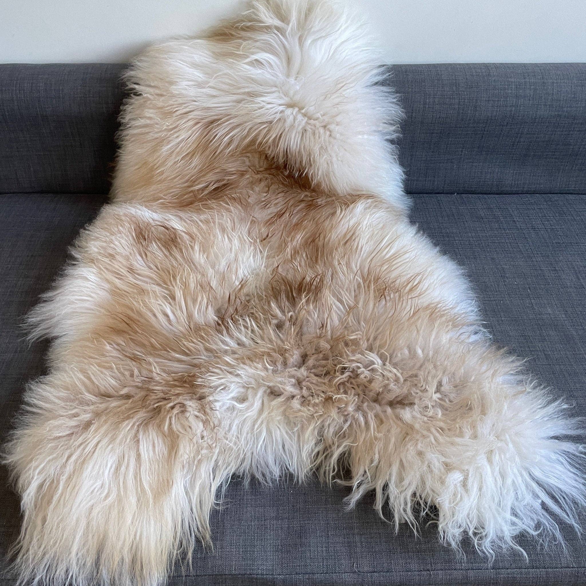 Wildash London – wholesale Area rug – Icelandic Latté Sheepskin Rug 100% Natural Brown Tipped White7