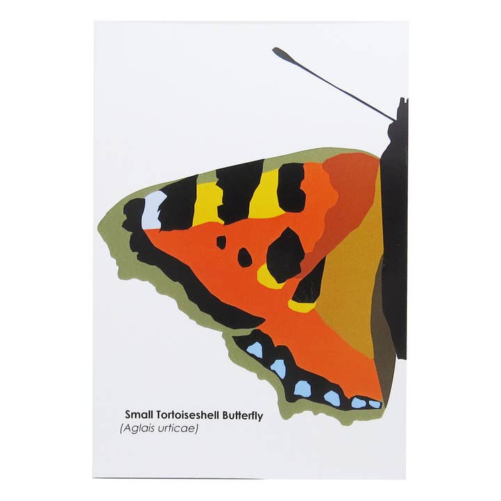 Robert William A5 British Butterflies Small Tortoishell for wholesale by Edu-Sci