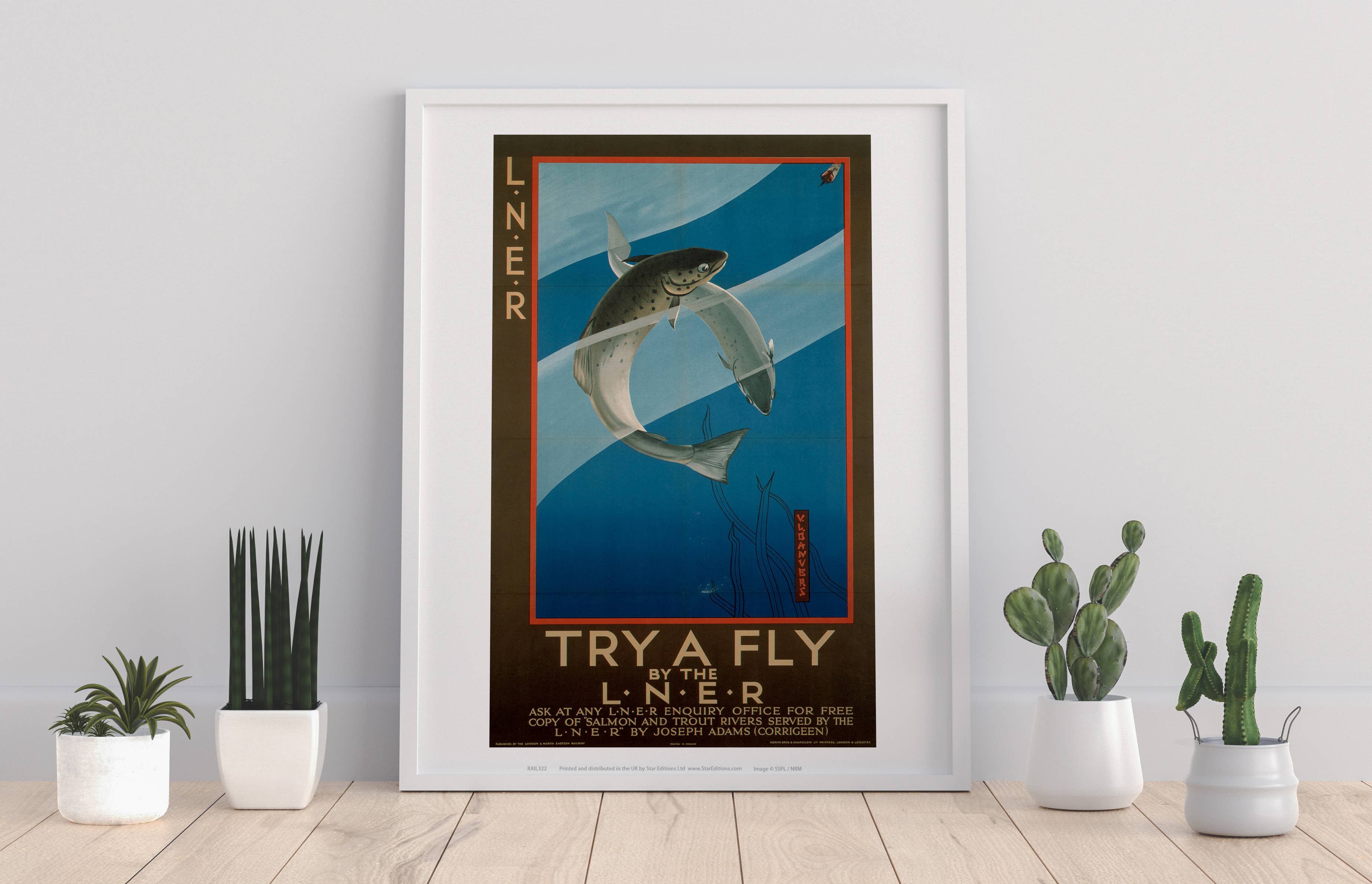 Star Editions – wholesale Art print – Try A Fly - 11X14” Premium Art Print0