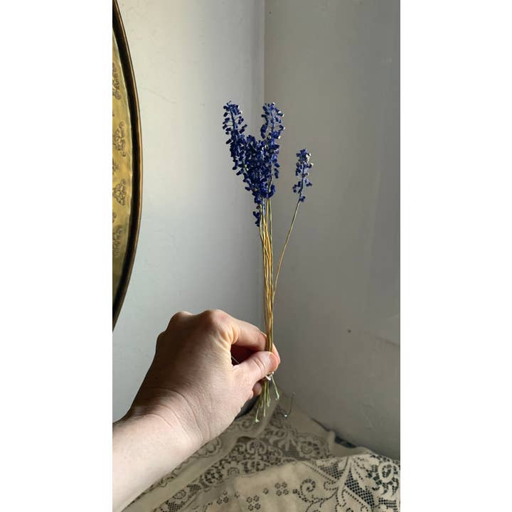 Twig and Snip - Wholesale Dried/Pressed Flowers - Dried Blue Grape Hyacinth Flowers - Natural Cool Tones1