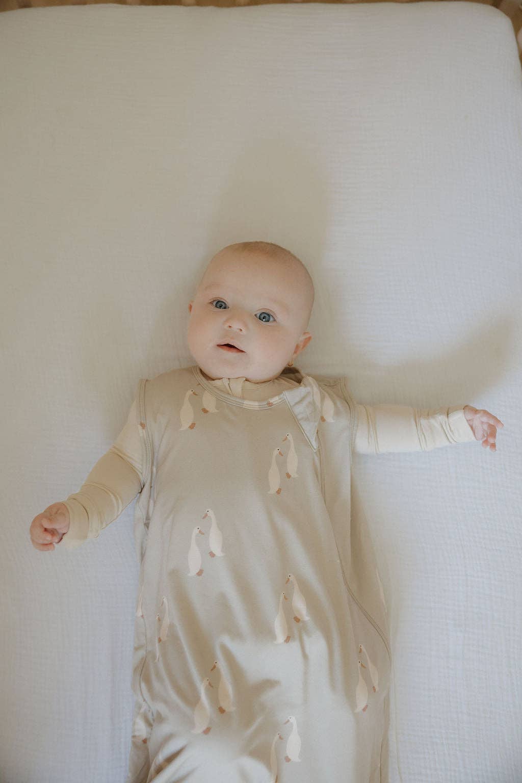 Forever French Baby - Wholesale Sleepsack - Baby - Bamboo Sleep Sack | Silly Goose5