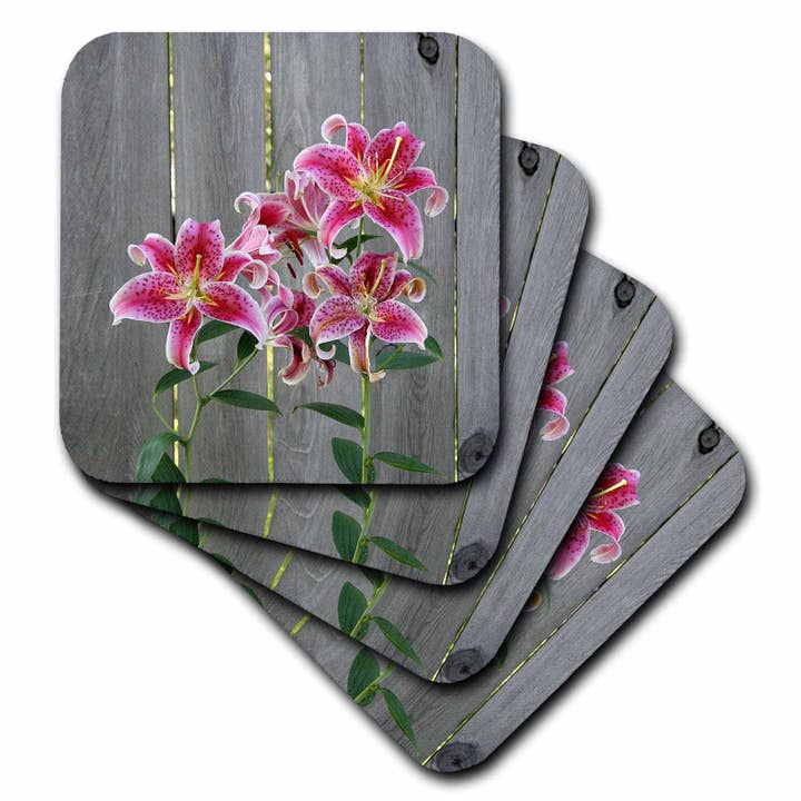 3dRose - Wholesale Coasters - set of 4 Coasters - Soft Stargazer Lily by Rustic Fence