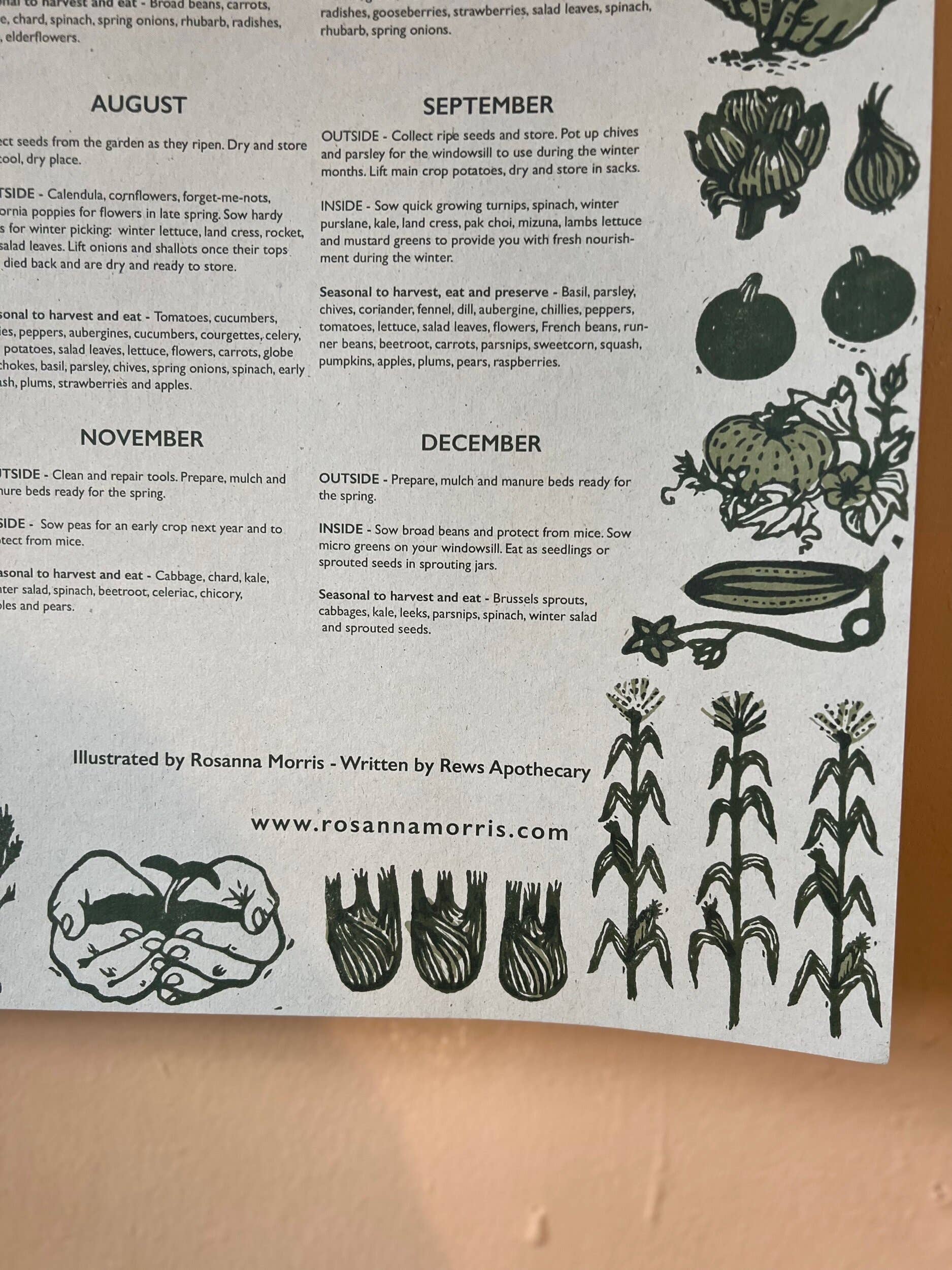 Rosanna Morris - Wholesale Poster - Vegetable Garden Seed Sowing Guide4