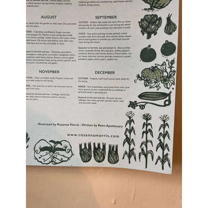 Rosanna Morris - Wholesale Poster - Vegetable Garden Seed Sowing Guide4