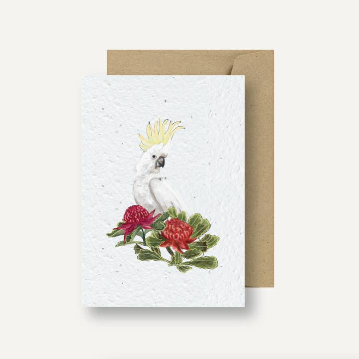 treasureinventory - Wholesale Everyday greeting card - Australian Icon's // Plantable Cards // Pk of 27 Cards9