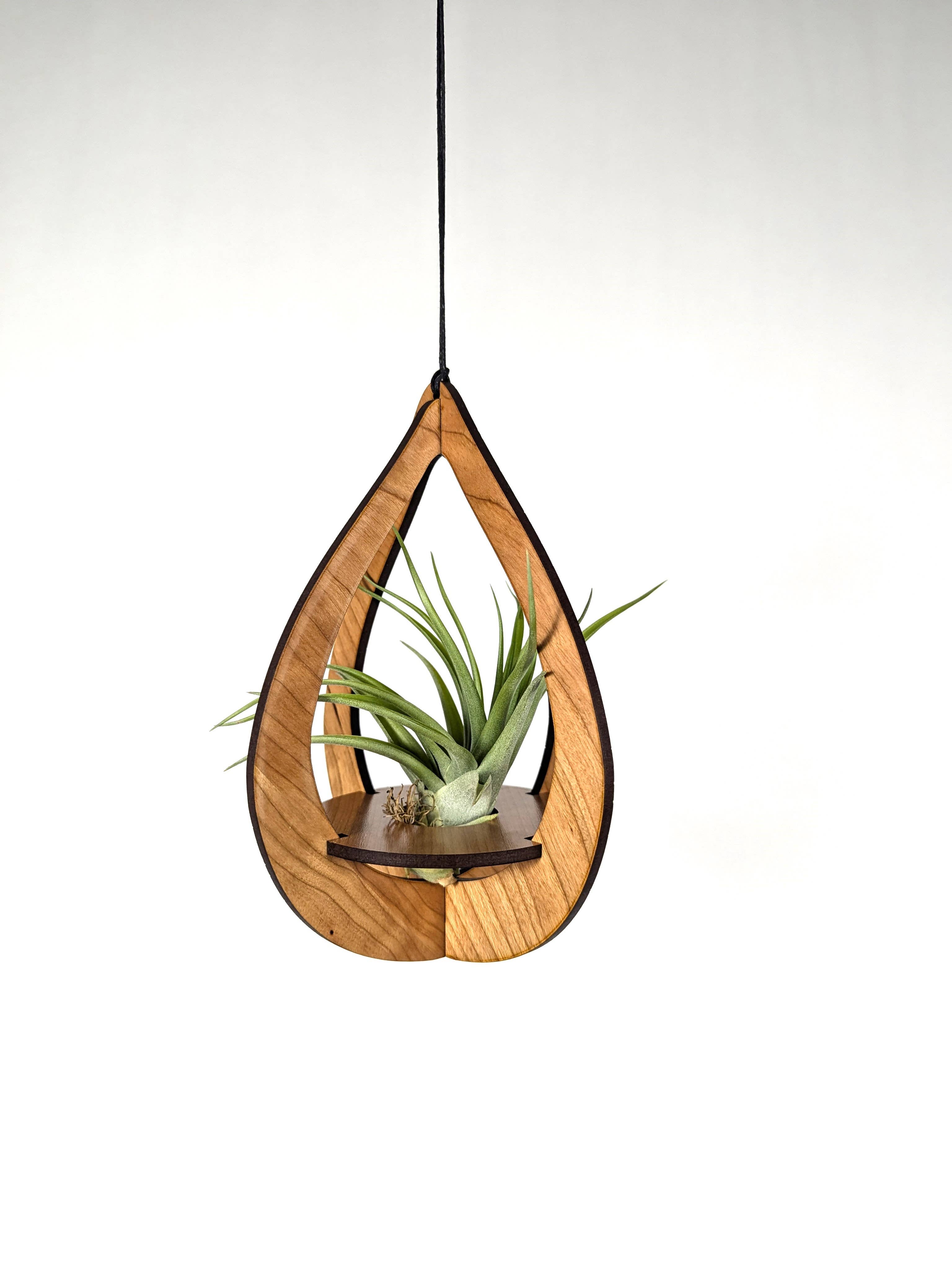 Savvie Studio - Wholesale Hanging Planter - Air Plant Hanger Teardrop Cherry1