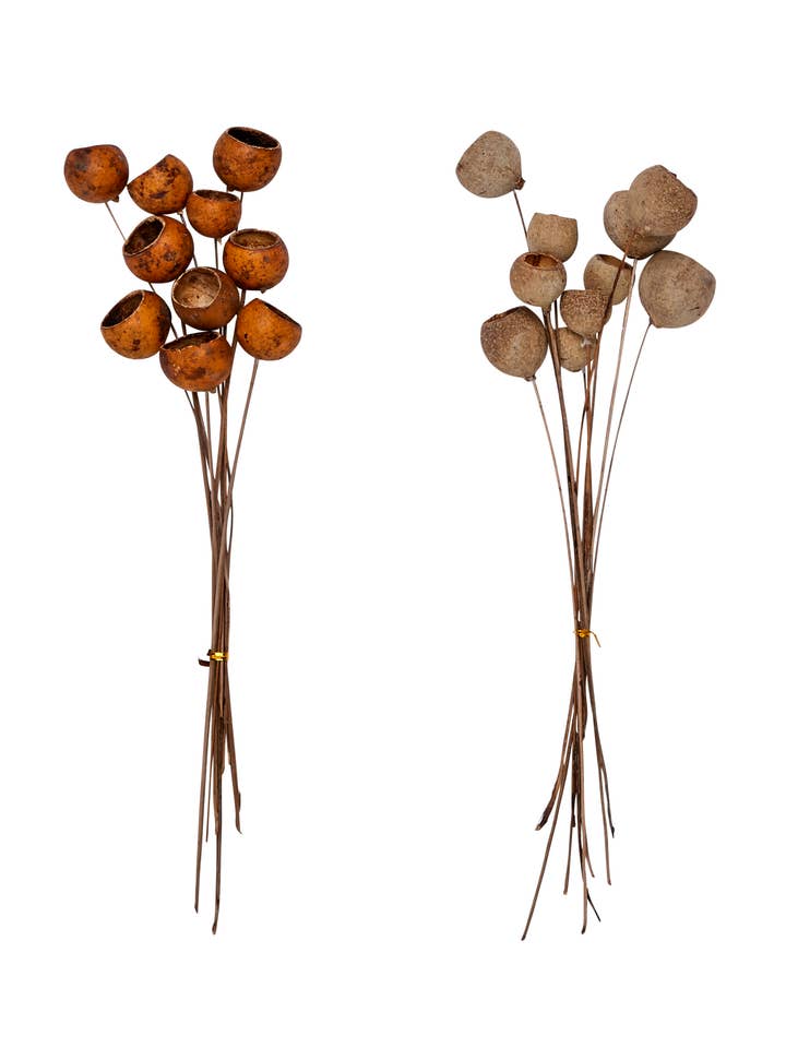 Solit Cup On Stem X 10 for wholesale by WORTH IMPORTS