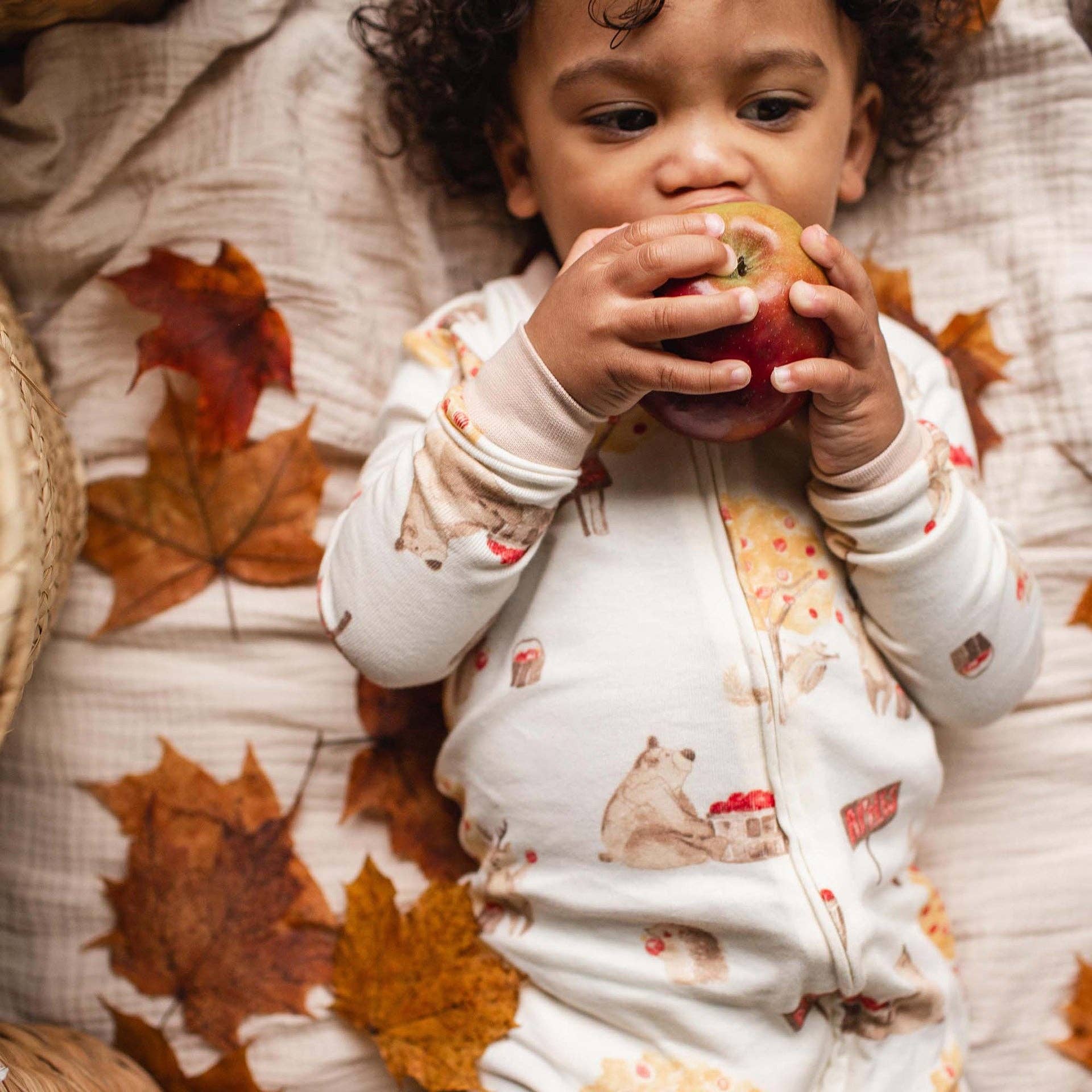 Burt's Bees Baby - Wholesale Sleepsuit - Baby - Apple Season Organic Cotton Sleep & Play1