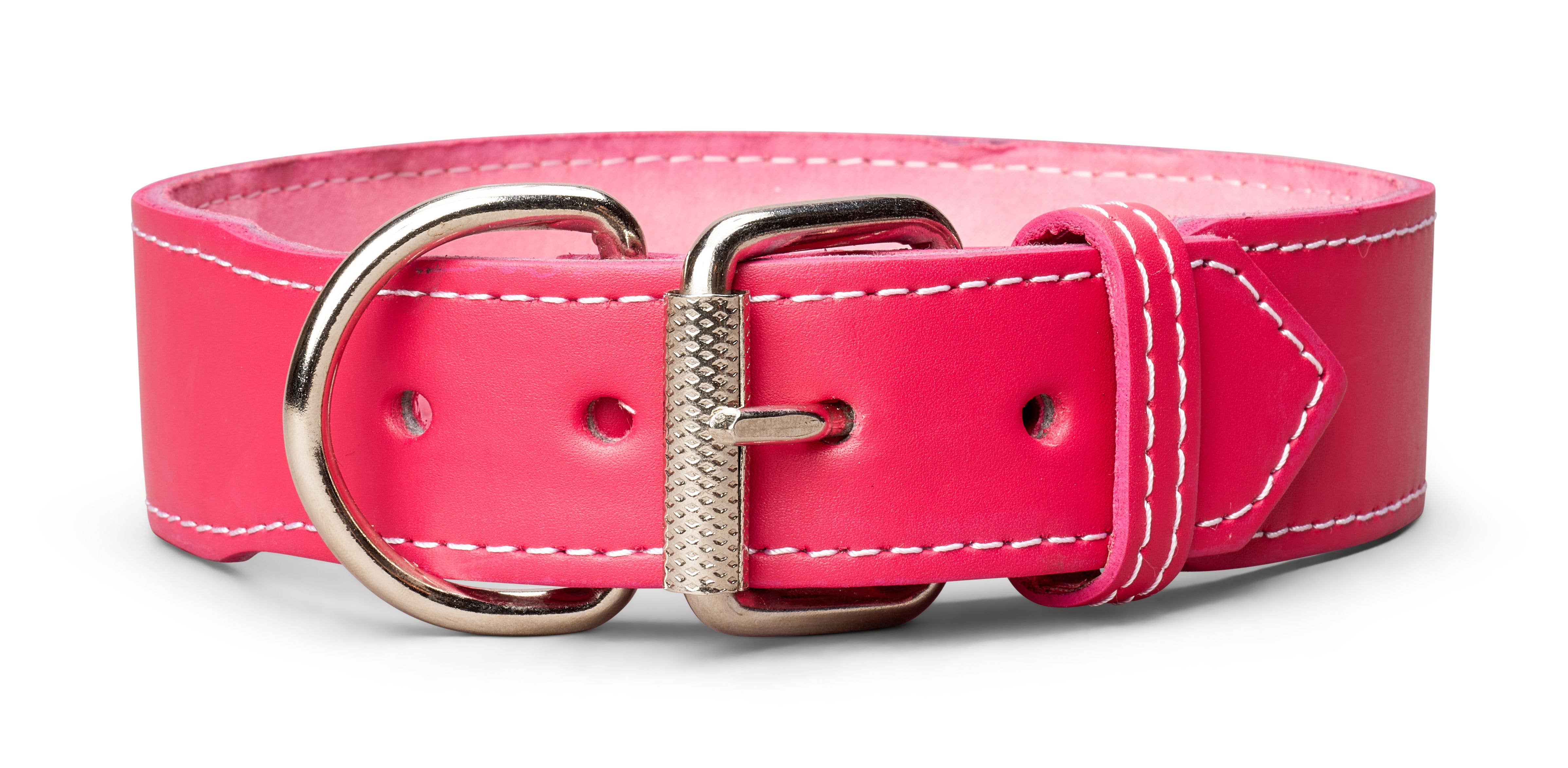 TOP DOG BRAND INC - Wholesale Pet Collar - Dog - 1 3/4 Inch Wide Plain Leather Collars5