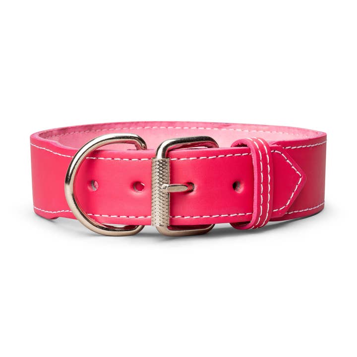 TOP DOG BRAND INC - Wholesale Pet Collar - Dog - 1 3/4 Inch Wide Plain Leather Collars5
