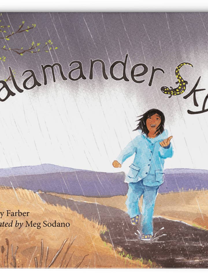 Salamander Sky for wholesale by McSea Books