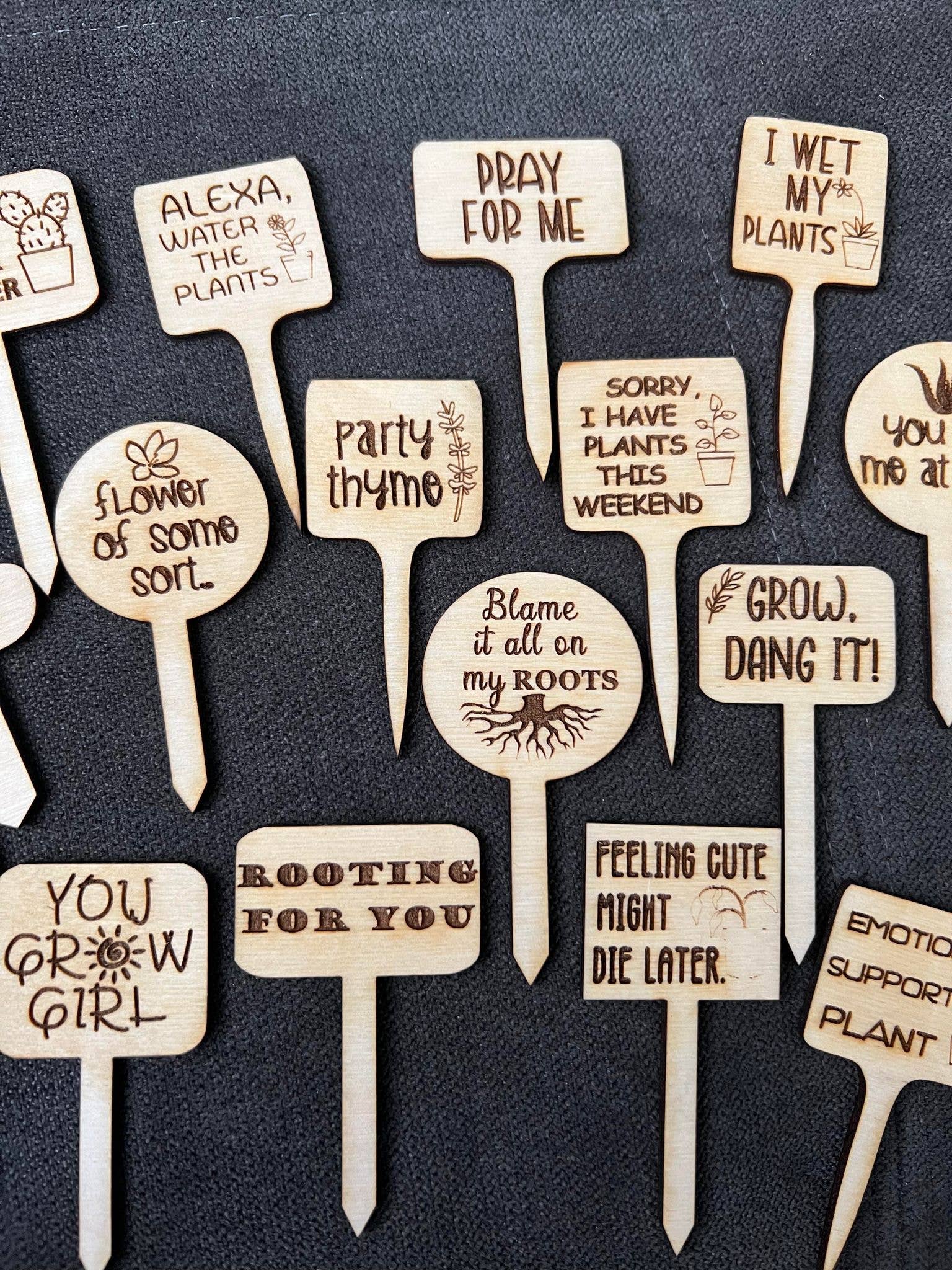 The Cracked Pig - Wholesale Garden/Lawn Stake - 20 Options for Snarky Birch Plant Stakes1