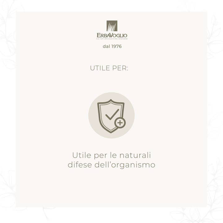 Erbavoglio - Wholesale Oral Supplement/Vitamin - Vitamin C1000 Tablets1