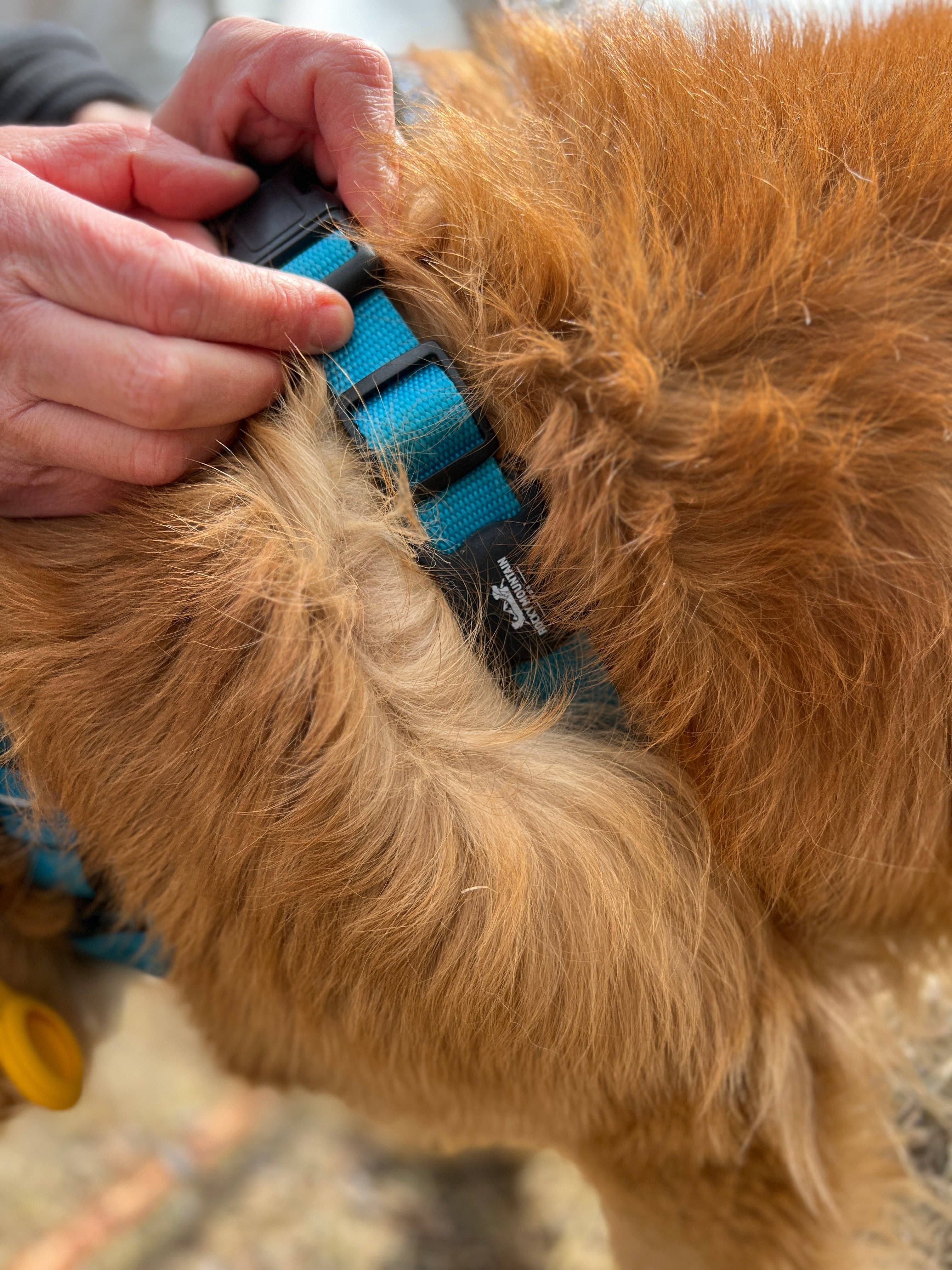 Rocky Mountain Dog - Wholesale Pet Collar - Dog - RMD AirTag Holder9