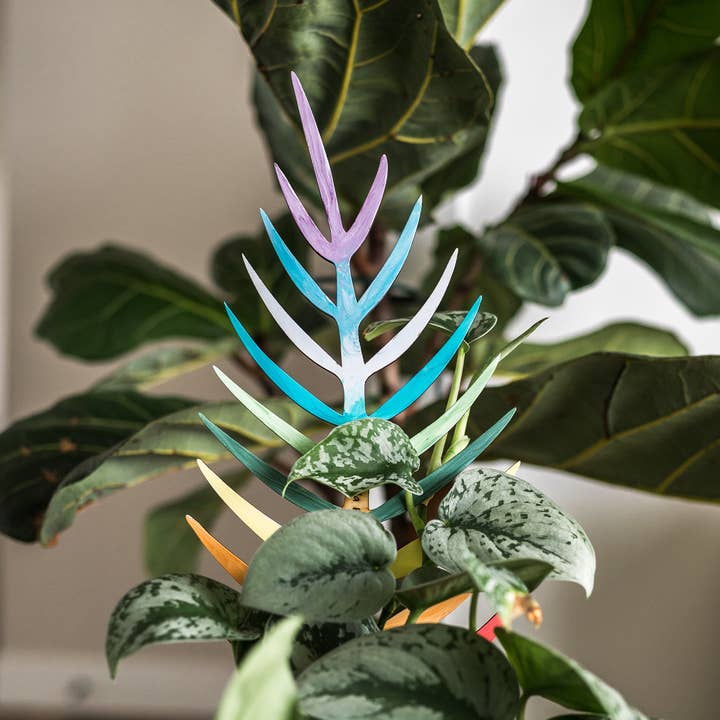 BARE™ Palmella™ - Customizable wooden plant support for wholesale by Treleaf