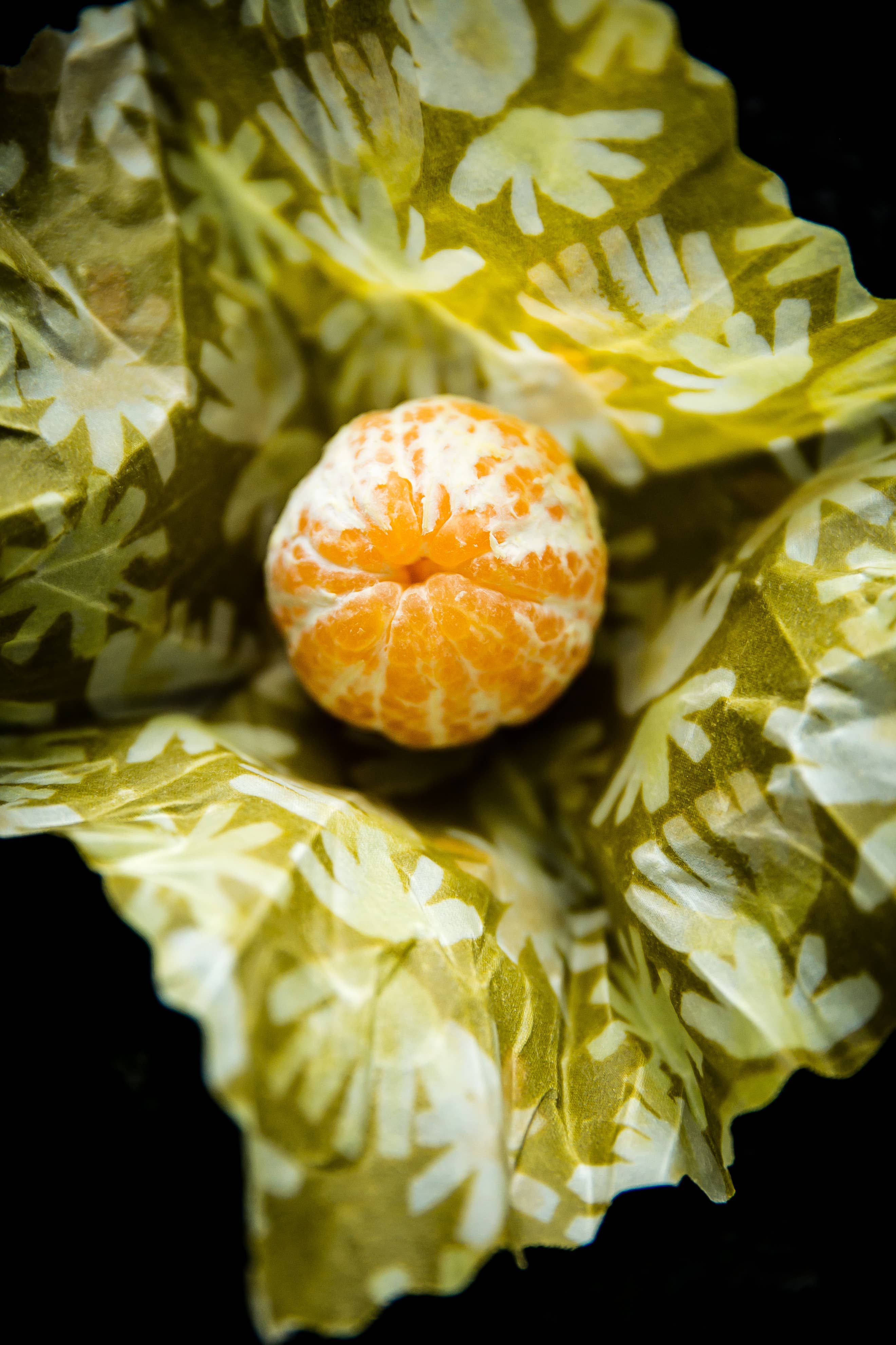 LABEILLE CO. - Wholesale Food Storage Wrap/Bag - BEESWAX FOOD WRAPS21