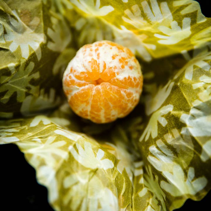 LABEILLE CO. - Wholesale Food Storage Wrap/Bag - BEESWAX FOOD WRAPS21