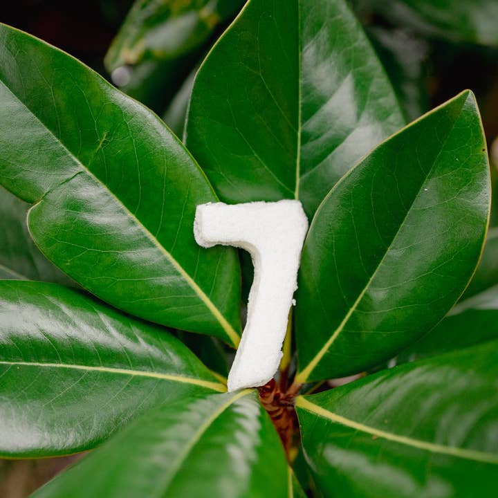 Love Liparu - Wholesale Pet Treats - Dog - MARSHMALLOW NUMBER | Freeze-Dried Dog + Cat Treat8