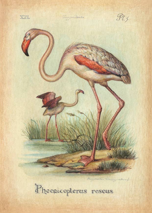 Bomo Art Budapest - Wholesale Everyday Greeting Card - Greeting Card + Envelope55