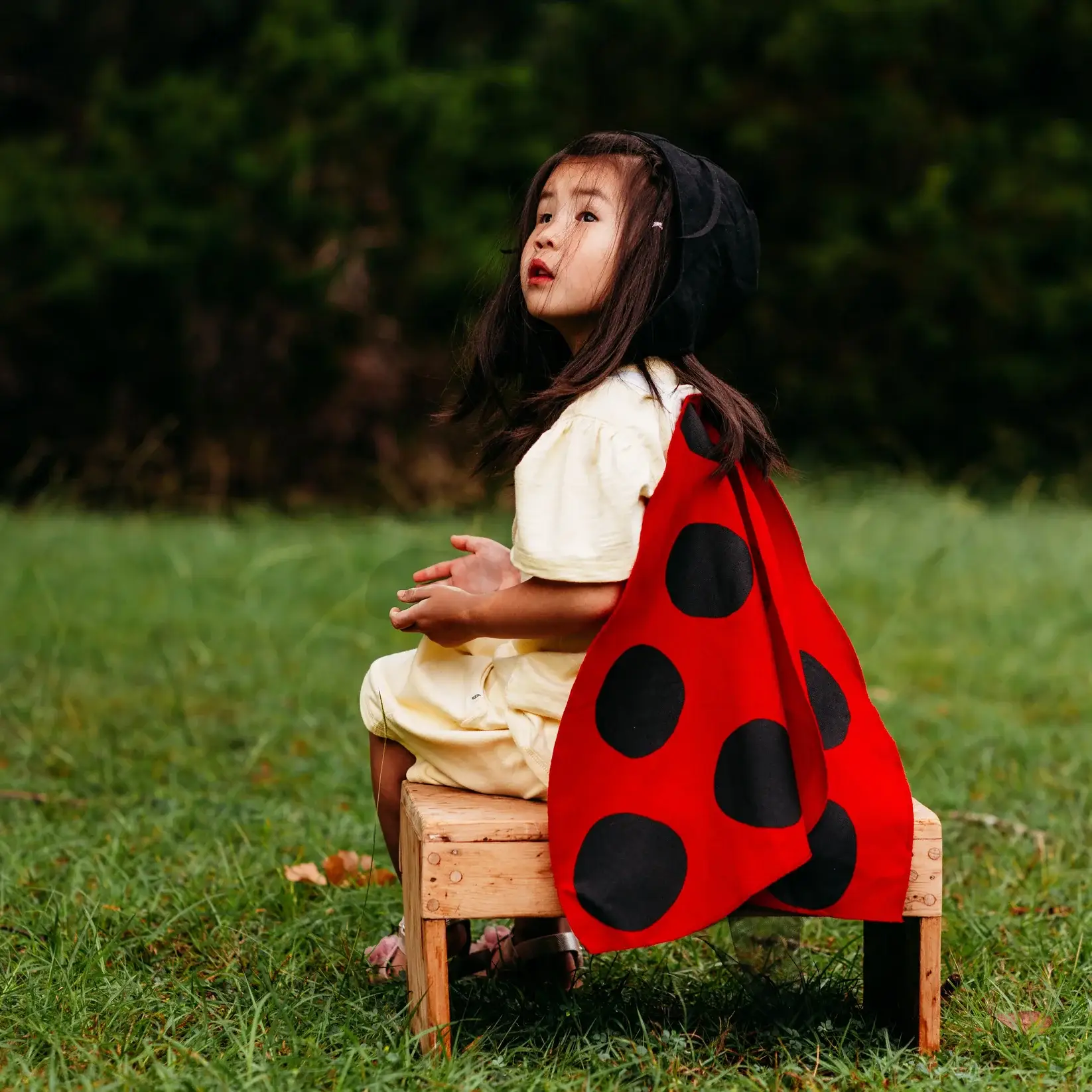Jack Be Nimble – wholesale Costume – Child – Ladybug Costume Wings2