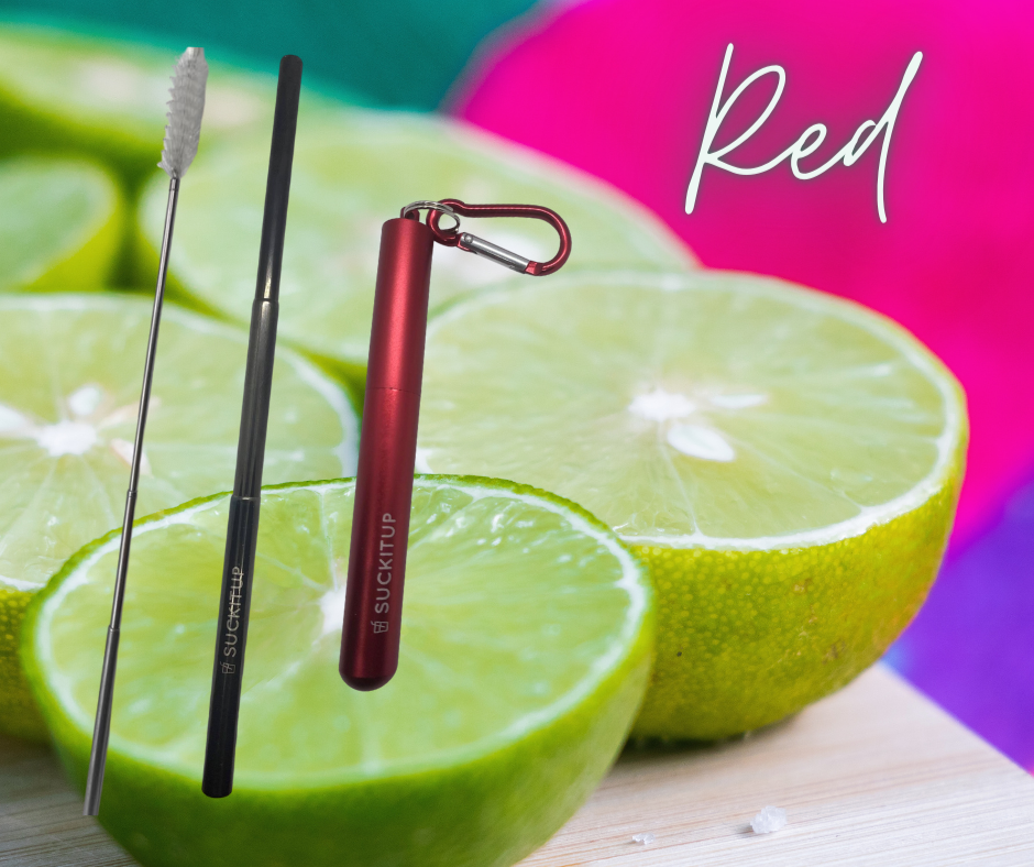 Suck It Up Straws - Vente Paille - Pailles métalliques télescopiques avec étui pour porte-clés et brosse de nettoyage51