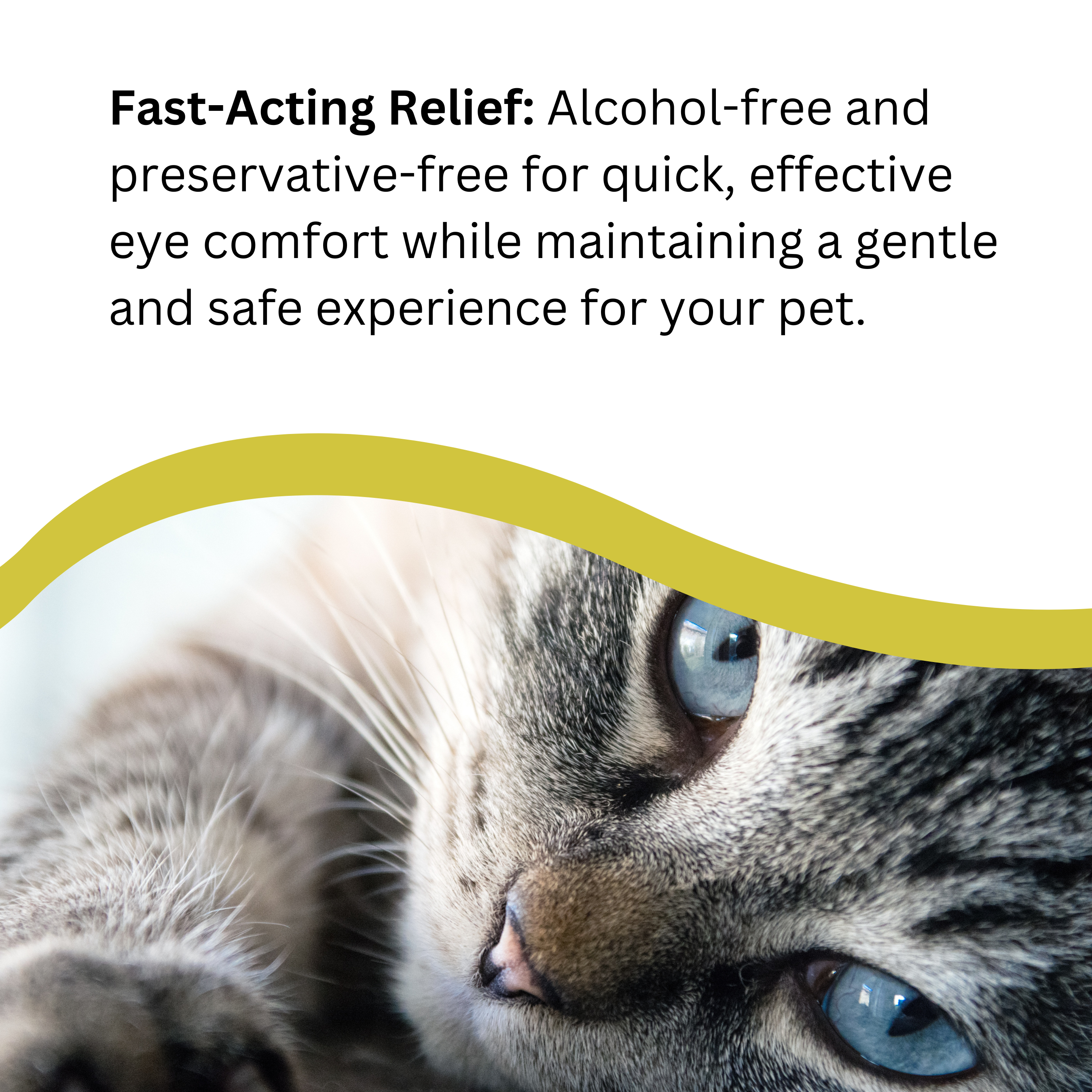 Natures Greatest Secret – wholesale Pet spray – Dog – NEW Natural Antibacterial Colloidal Silver Pets Eye Drops4