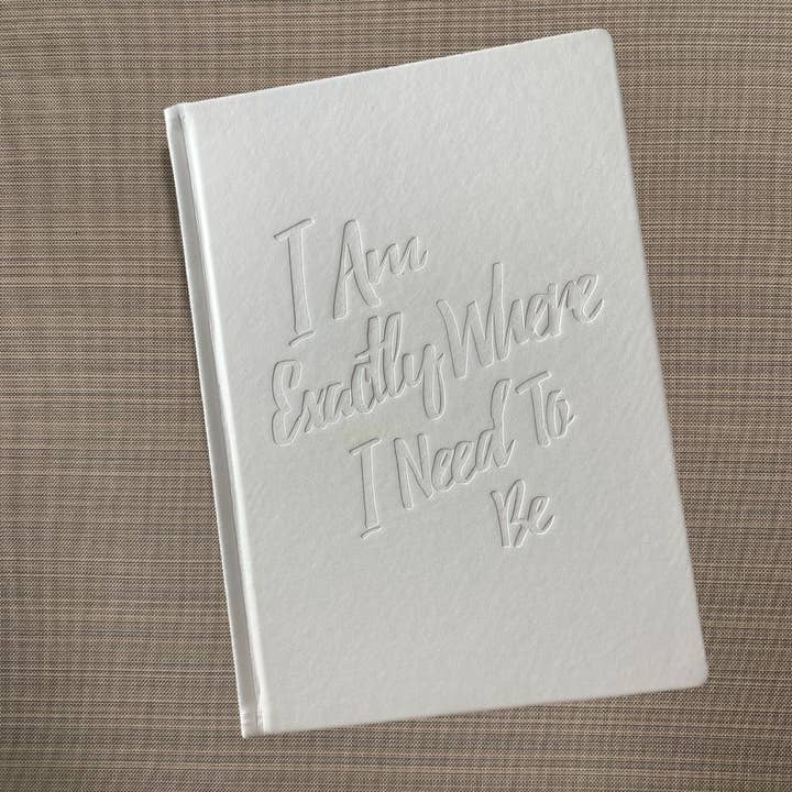 PleaseNotes Goods - Affirmation-Filled Goods - Wholesale Journal/Diary - The Guided Gratitude Journal for Stress Relief1