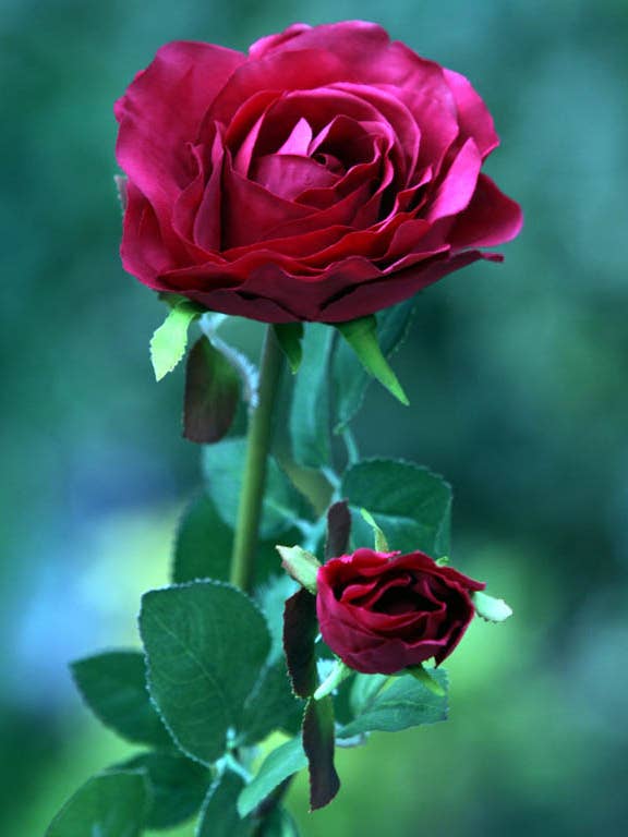Artificial Red Hybrid Teas Rose with bud for wholesale by Mezu Silk Flowers