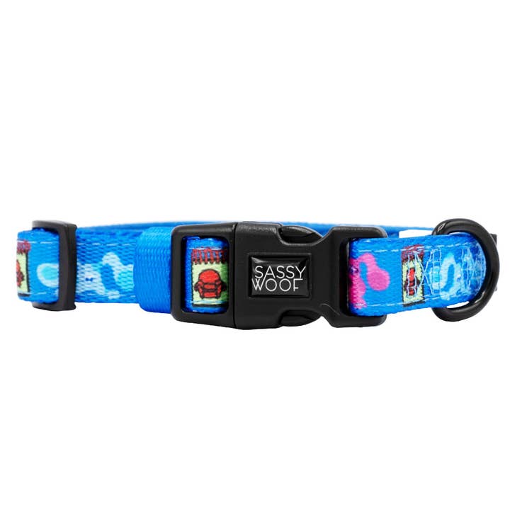 SASSY WOOF - Wholesale Pet Harness - Dog - Dog Four Piece Bundle - Blue's Clues™