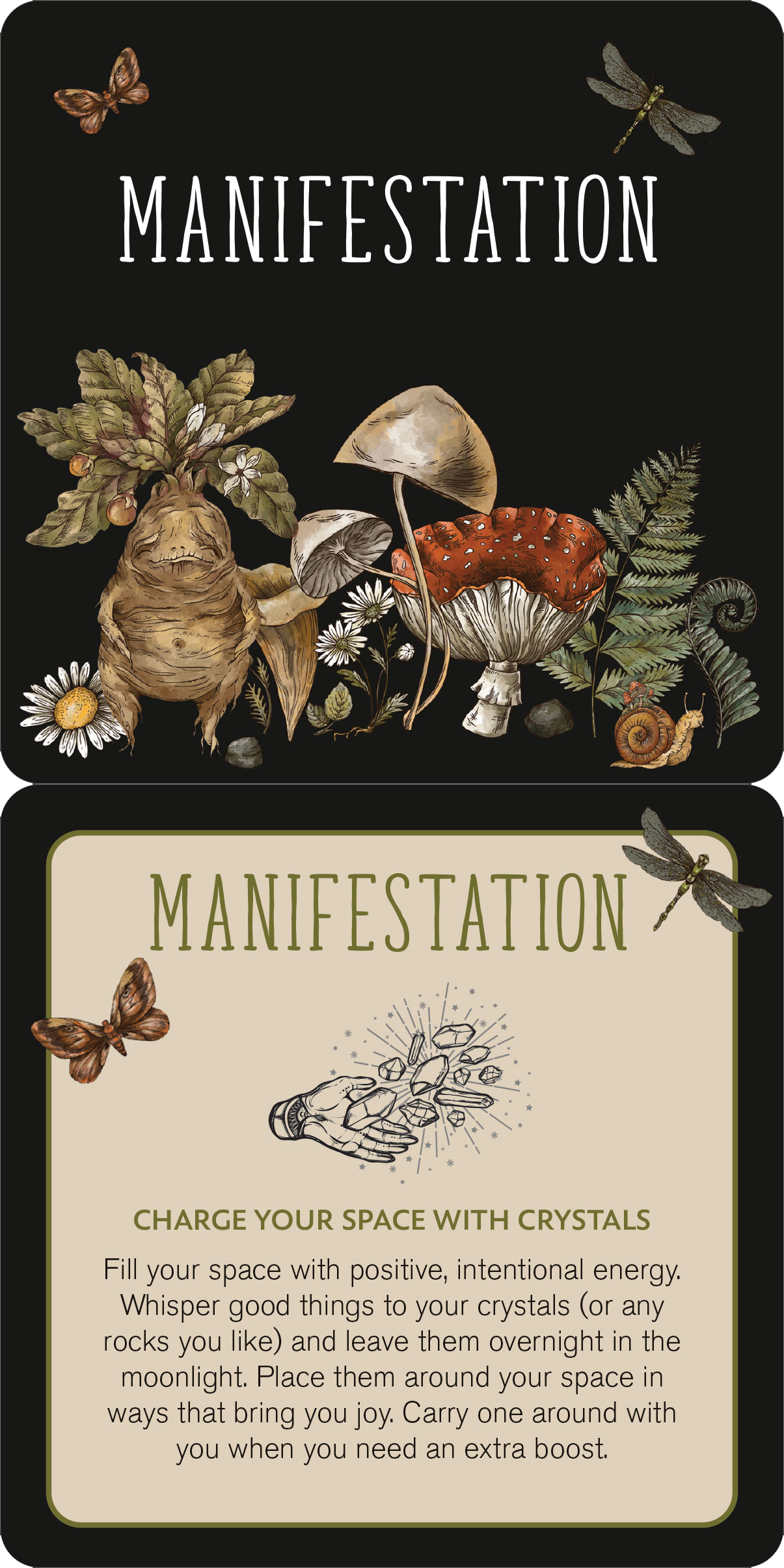 Peter Pauper Press - Wholesale Tarot Cards - Everyday Spells for Busy Witches Insight Cards5