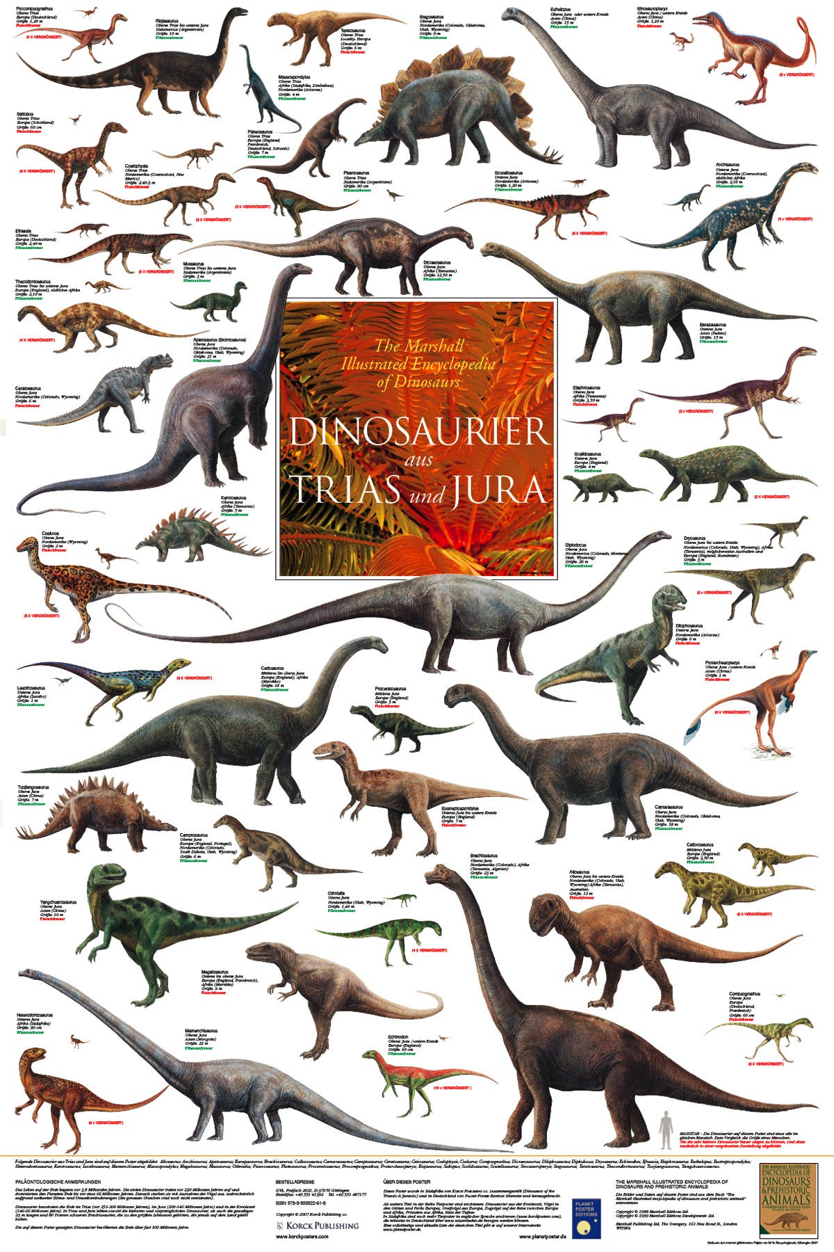Close Up GmbH - Wholesale Poster - Dinosaurs from Triassic and Jurassic laminated 90 x 60 cm0